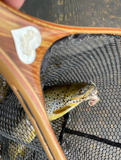 Small, Cold Water Tributaries with an Ultra-Light 2wt. J.A.Henry Rod & Reel Co. Small, Cold Water Tributaries with an Ultra-Light 2wt. J.A.Henry Rod & Reel Co.